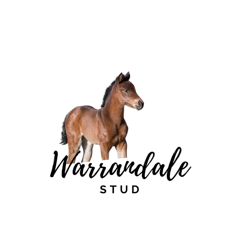 Warrandale Stud